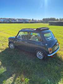 1.3 British Open cat.