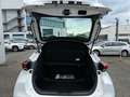 Toyota C-HR 1.8 FWD Business Edition +SHZ+LHZ+Allwetter+ Weiß - thumbnail 20