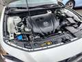 Mazda 3 Exclusive-Line SKYACTIV-G 2.0 MHEV HUD LED Navi Weiß - thumbnail 29
