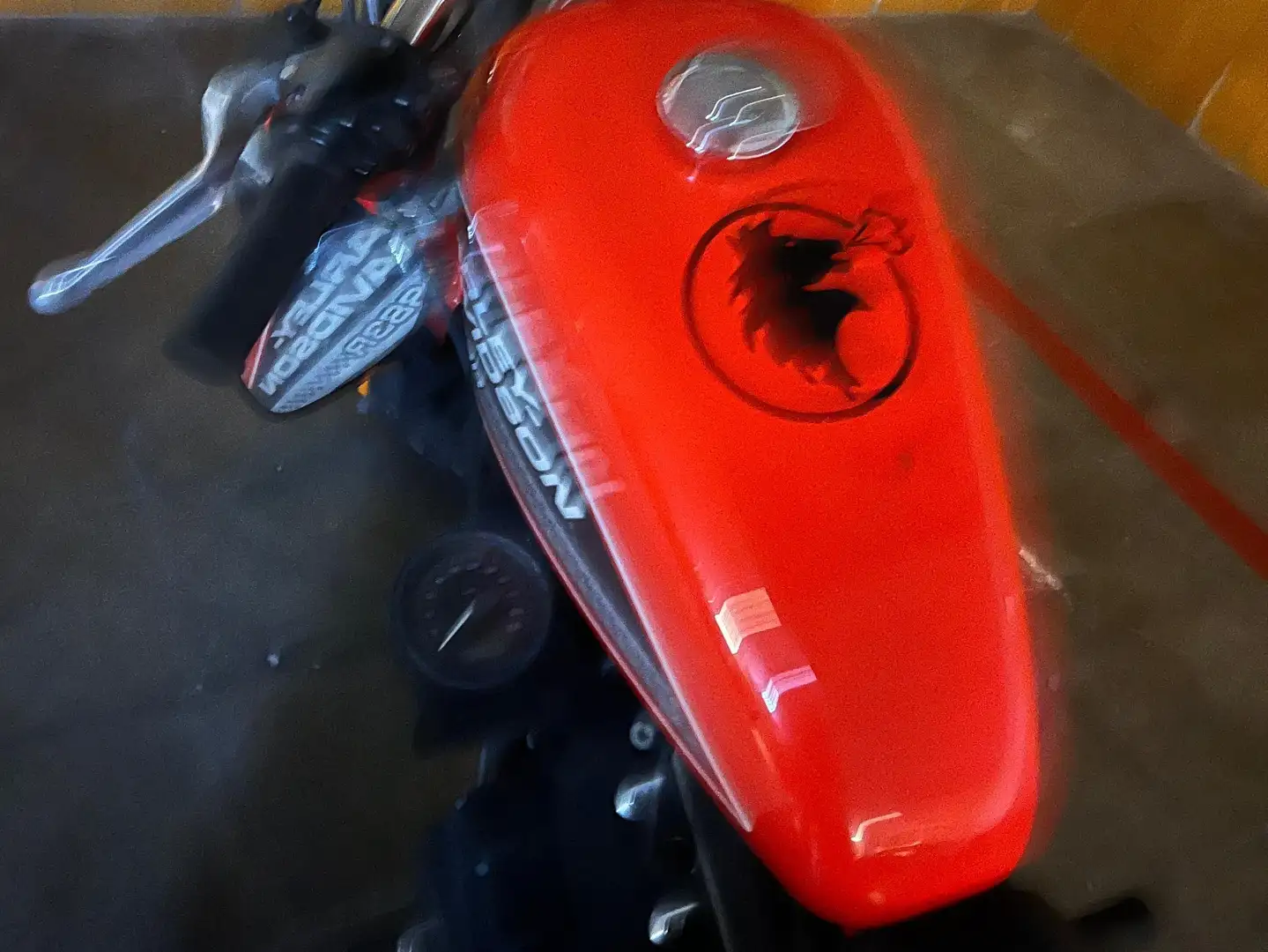 Harley-Davidson Sportster 883 XL883R Orange - 1