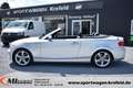BMW 120 120i Cabrio *LEDER*ALU*PDC*SHZG*KLIMA* Gris - thumbnail 5