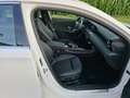 Mercedes-Benz A 200 A 200  Progressive LED Leder Kamera Alu 17 MBUX Weiß - thumbnail 13