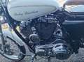 Harley-Davidson Sportster Weiß - thumbnail 4