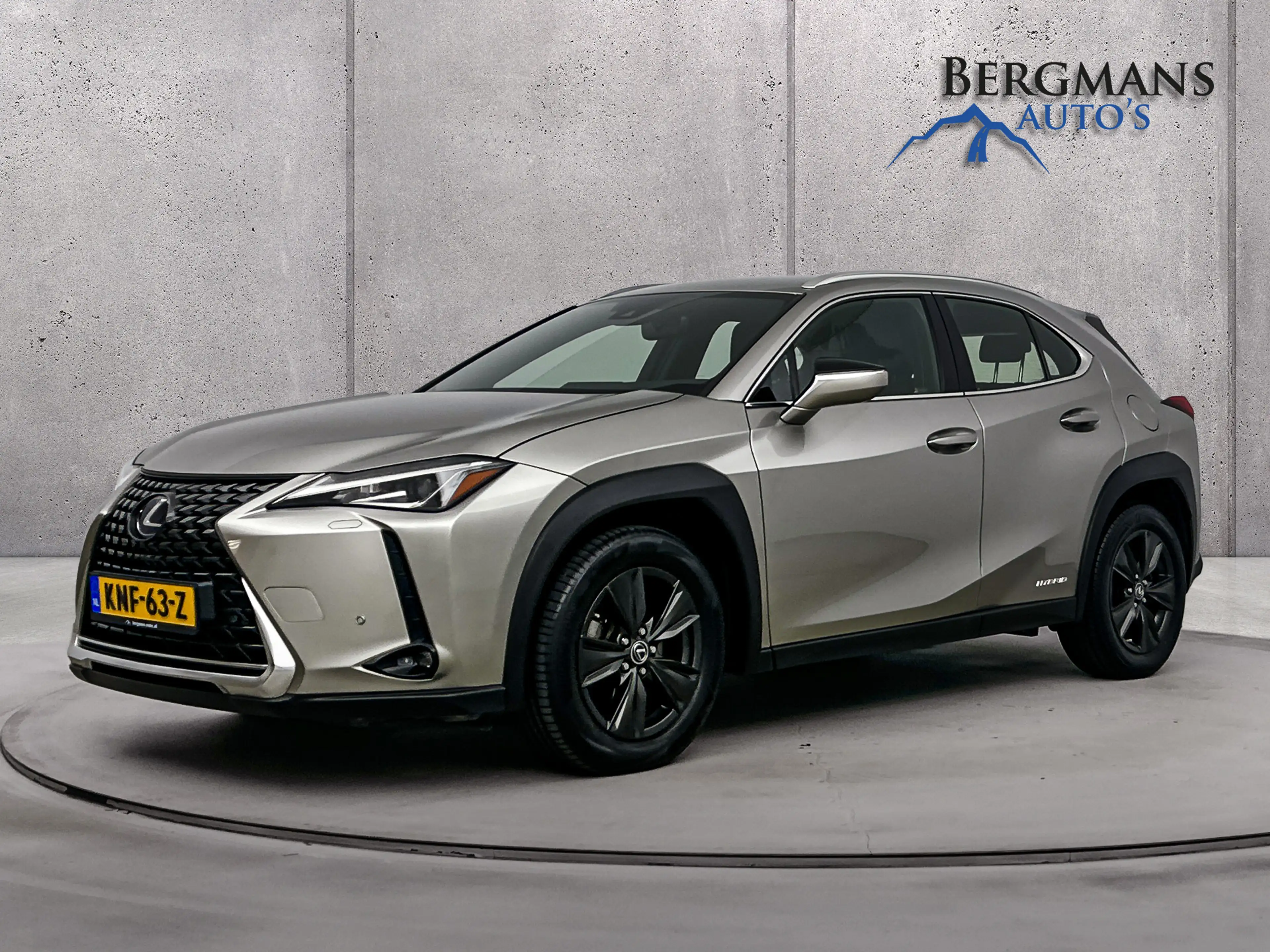 Lexus UX 250h - Luxury Line // DEALERONDERHOUDEN // LEDER //