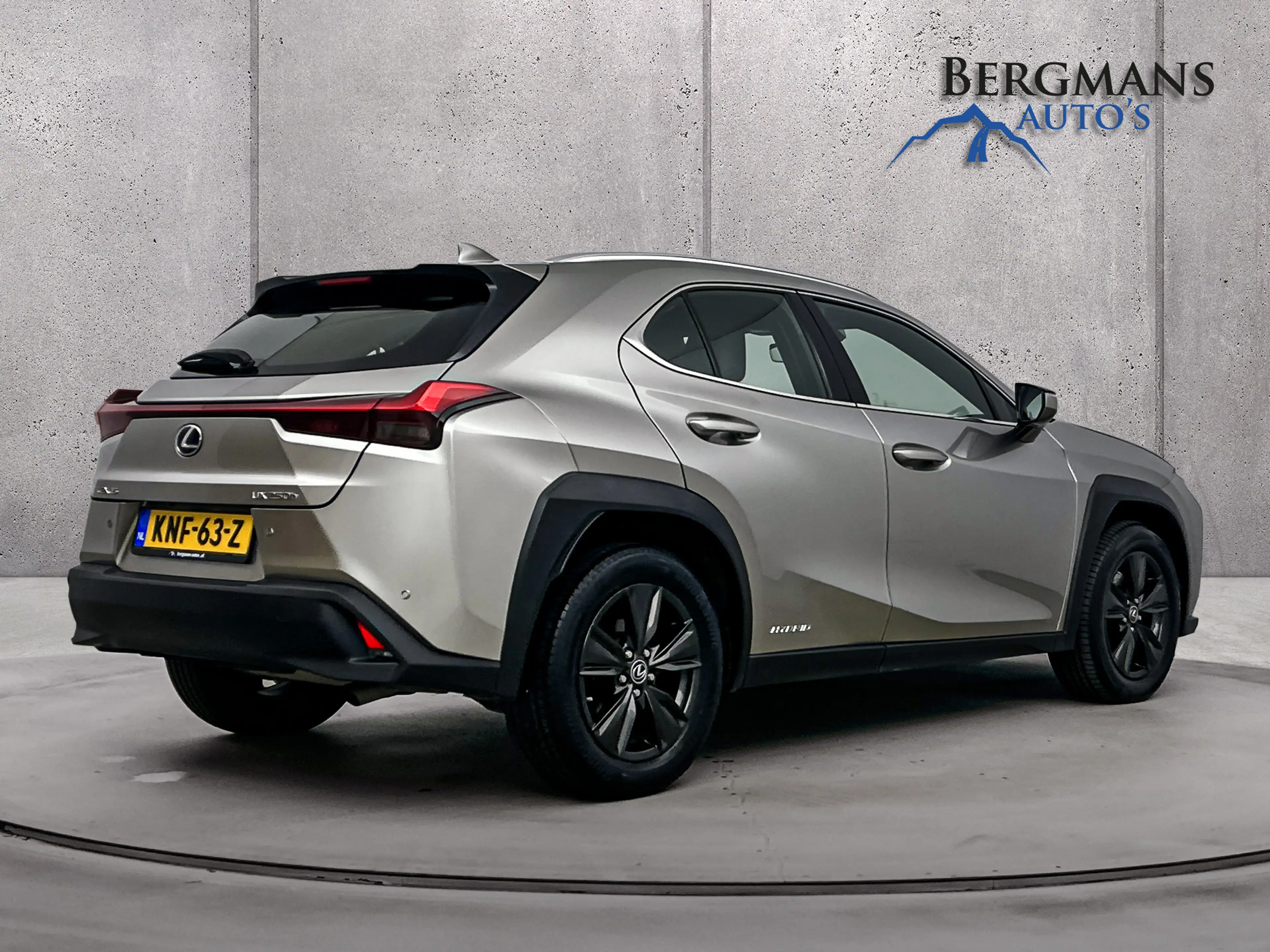 Lexus UX 250h - Luxury Line // DEALERONDERHOUDEN // LEDER // — photo 2