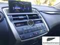Lexus NX 300 NX Hybrid 4WD Executive Bianco - thumbnail 16