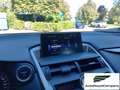Lexus NX 300 NX Hybrid 4WD Executive Bianco - thumbnail 13