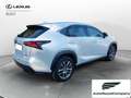 Lexus NX 300 NX Hybrid 4WD Executive Bianco - thumbnail 6