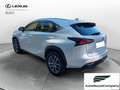 Lexus NX 300 NX Hybrid 4WD Executive Bianco - thumbnail 4