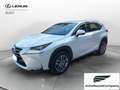 Lexus NX 300 NX Hybrid 4WD Executive Bianco - thumbnail 1