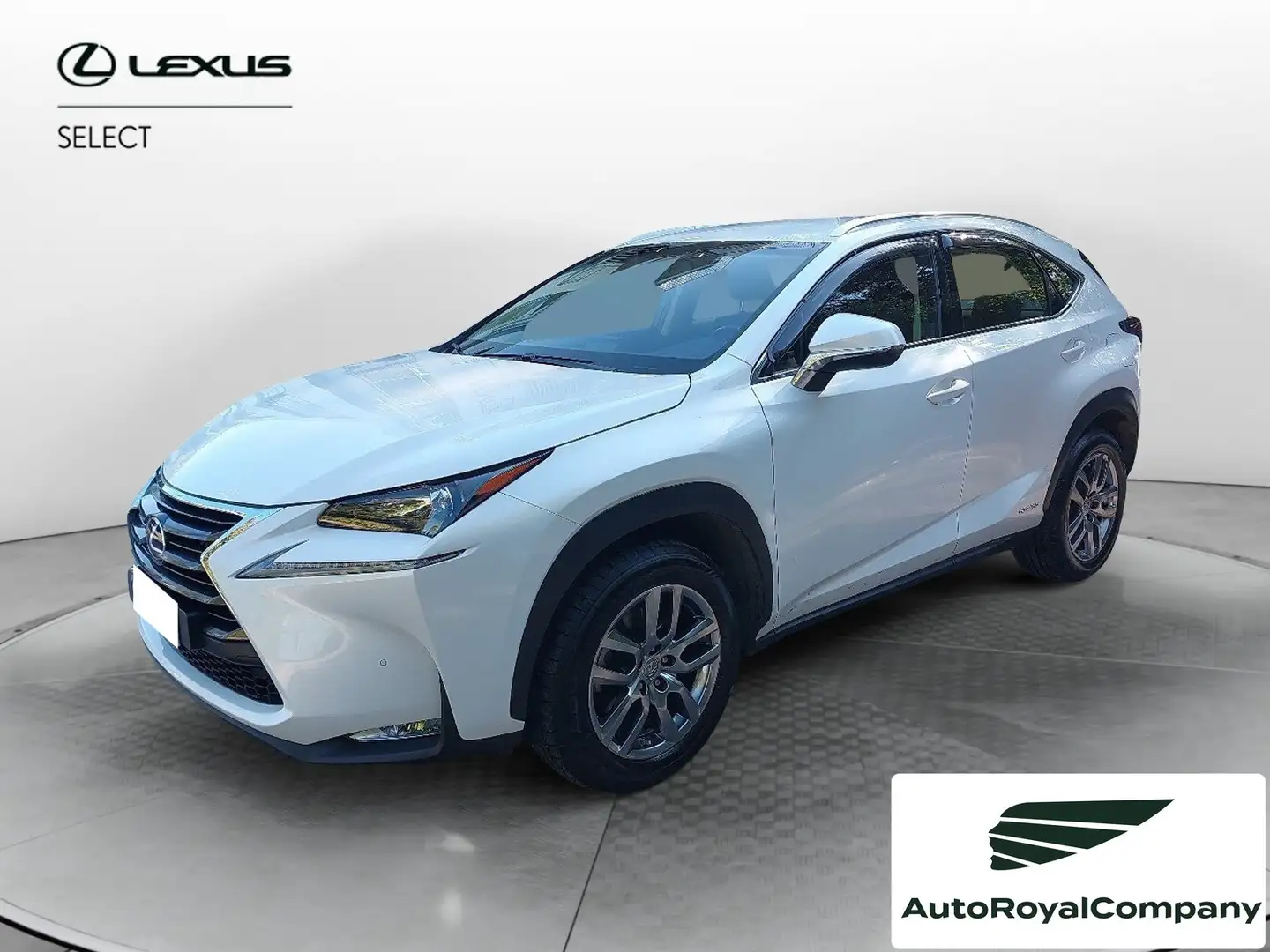 Lexus NX 300 NX Hybrid 4WD Executive Bianco - 1