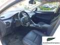 Lexus NX 300 NX Hybrid 4WD Executive Bianco - thumbnail 9