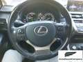 Lexus NX 300 NX Hybrid 4WD Executive Bianco - thumbnail 15