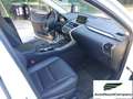 Lexus NX 300 NX Hybrid 4WD Executive Bianco - thumbnail 17