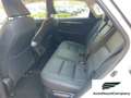Lexus NX 300 NX Hybrid 4WD Executive Bianco - thumbnail 10