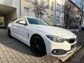 BMW 420 xDrive Sport Line Leder, Navi Weiß - thumbnail 3