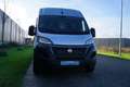 Fiat Ducato 35 2.3 MultiJet L2H2 Automaat 9-traps |Topstaat |1 Gris - thumbnail 38