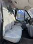 Ford Transit Kombi FT 300 M Trend 9 Sitzer Bianco - thumbnail 14