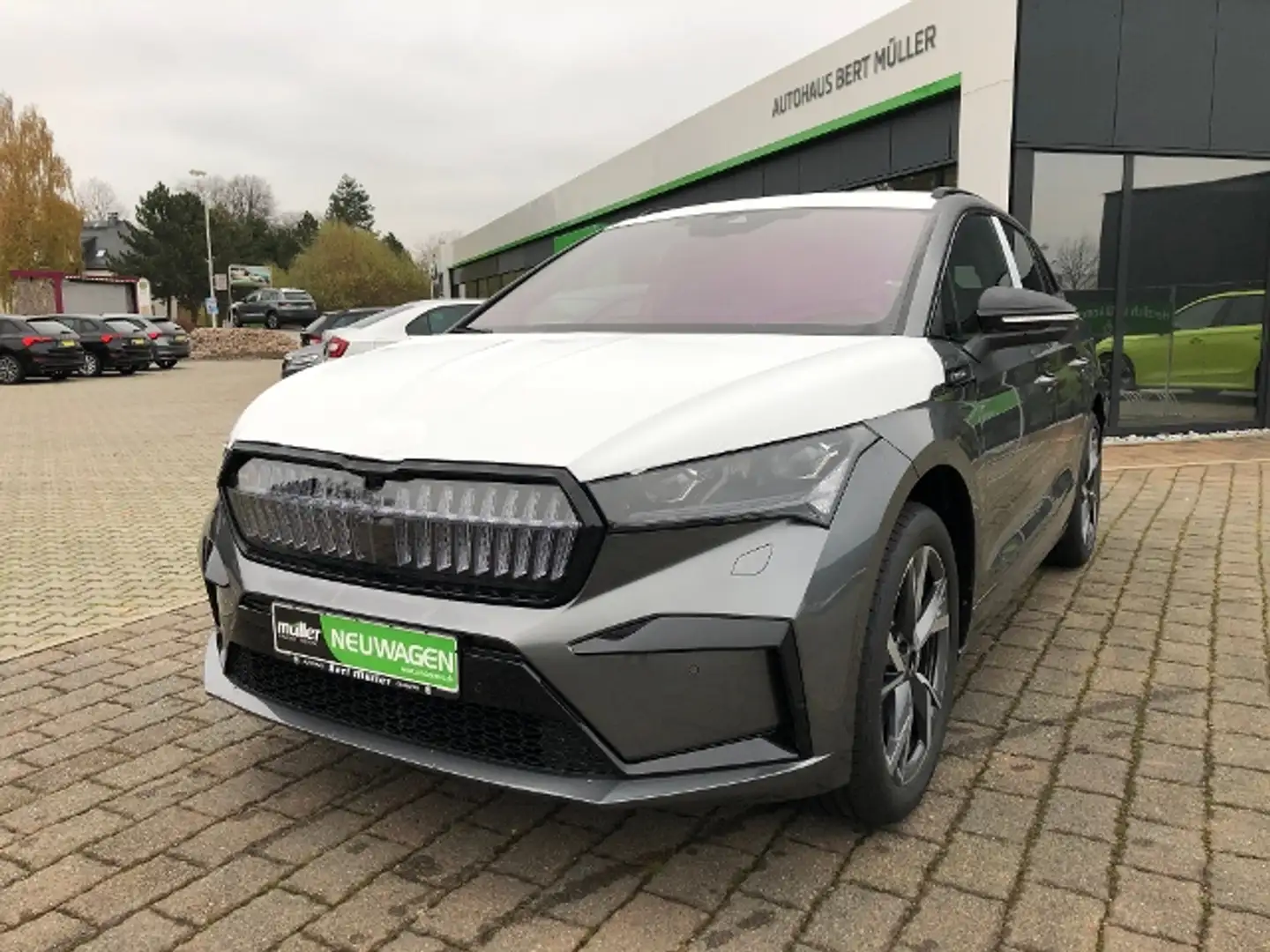 Skoda Enyaq 85 Sportline Matrix AHZV Canton Grau - 2