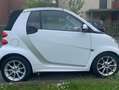 smart forTwo smart fortwo cabrio softouch passion bijela - thumbnail 7