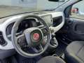 Fiat Panda Pandina 1.0 firefly hybrid s&s 70cv Bleu - thumbnail 20