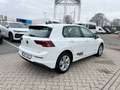 Volkswagen Golf Life 1.5 eTSI DSG Life Navi LED ACC SHZ ACC Weiß - thumbnail 8