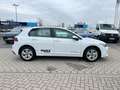 Volkswagen Golf Life 1.5 eTSI DSG Life Navi LED ACC SHZ ACC Weiß - thumbnail 9