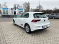 Volkswagen Golf Life 1.5 eTSI DSG Life Navi LED ACC SHZ ACC Weiß - thumbnail 6