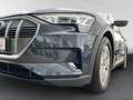 Audi e-tron 50 quattro AHK ACC LED Navi Kamera Leder Grey - thumbnail 6