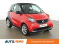 smart forTwo 1.0 Basis *TEMPO*KLIMA*GARANTIE* Roşu - thumbnail 8
