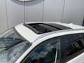 BMW 318 3-serie Touring 318i High Executive Automaat | Ope Wit - thumbnail 21