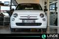 Fiat 500 Basis | TEMPOMAT | CARPLAY | Weiß - thumbnail 6