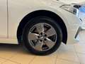 BMW 116 116d Blanco - thumbnail 26