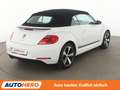 Volkswagen Beetle 2.0 TDI Cup*PDC*SHZ*TEMPO* Blanco - thumbnail 6