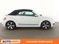 Volkswagen Beetle 2.0 TDI Cup*PDC*SHZ*TEMPO* Blanco - thumbnail 7