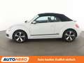 Volkswagen Beetle 2.0 TDI Cup*PDC*SHZ*TEMPO* Blanco - thumbnail 3