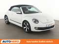 Volkswagen Beetle 2.0 TDI Cup*PDC*SHZ*TEMPO* Blanco - thumbnail 8
