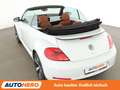Volkswagen Beetle 2.0 TDI Cup*PDC*SHZ*TEMPO* Blanco - thumbnail 27