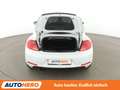 Volkswagen Beetle 2.0 TDI Cup*PDC*SHZ*TEMPO* Blanco - thumbnail 16