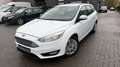 Ford Focus Focus 1.0 EcoBoost Business Edition Wit - thumbnail 1