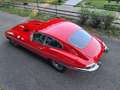 Jaguar E-Type SERIE 1 Roşu - thumbnail 7