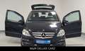 Mercedes-Benz B 180 CDI Sport Edition/Klima/Xenon/PDC/AHK/SHZ/ Schwarz - thumbnail 3