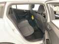 Ford Focus Turnier 1.5 EcoBlue Start-Stopp-System Aut. COOL&C Weiß - thumbnail 8