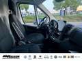 Fiat Ducato Kasten Serie 2 MY25 35 L3H2 140 NAVI TEMPOMAT PDC Alb - thumbnail 10