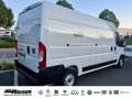 Fiat Ducato Kasten Serie 2 MY25 35 L3H2 140 NAVI TEMPOMAT PDC Alb - thumbnail 4