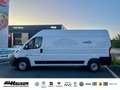 Fiat Ducato Kasten Serie 2 MY25 35 L3H2 140 NAVI TEMPOMAT PDC Alb - thumbnail 2