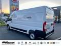 Fiat Ducato Kasten Serie 2 MY25 35 L3H2 140 NAVI TEMPOMAT PDC Alb - thumbnail 3