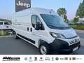 Fiat Ducato Kasten Serie 2 MY25 35 L3H2 140 NAVI TEMPOMAT PDC Alb - thumbnail 6