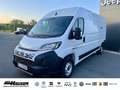 Fiat Ducato Kasten Serie 2 MY25 35 L3H2 140 NAVI TEMPOMAT PDC Alb - thumbnail 1