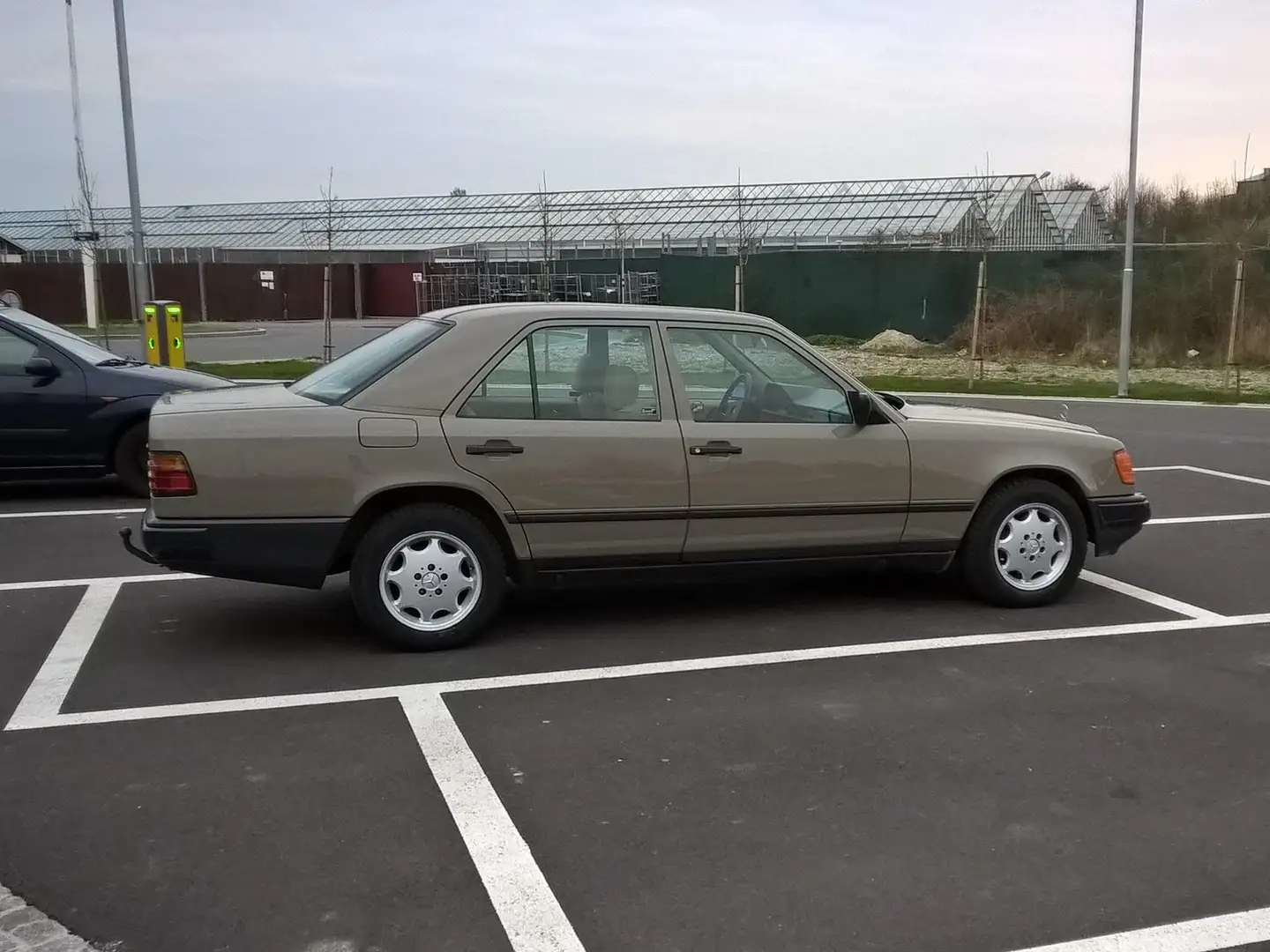 Mercedes-Benz 250 250 D Ds. W124 Beige - 2